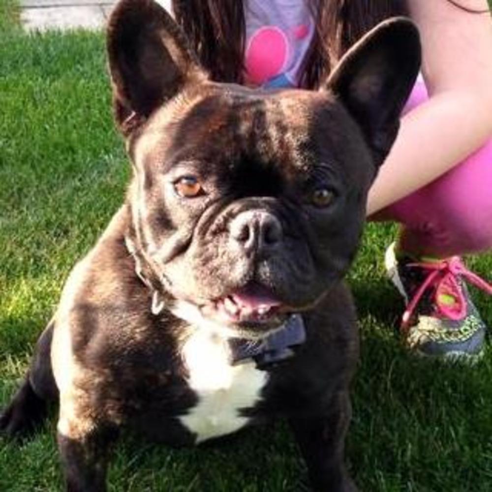 Meet your Posher, Tina